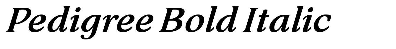 Pedigree Bold Italic
